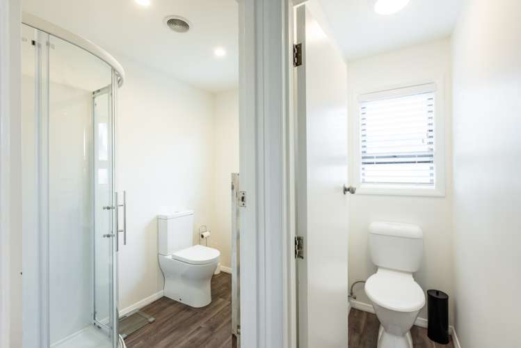 9 Bristol Street Tamatea_14