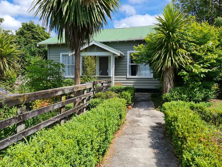 68 Parry Palm Avenue Waihi_0