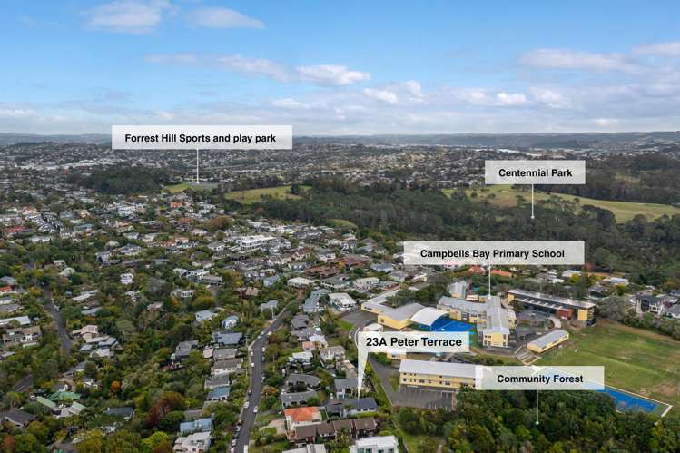 23A Peter Terrace Castor Bay_36