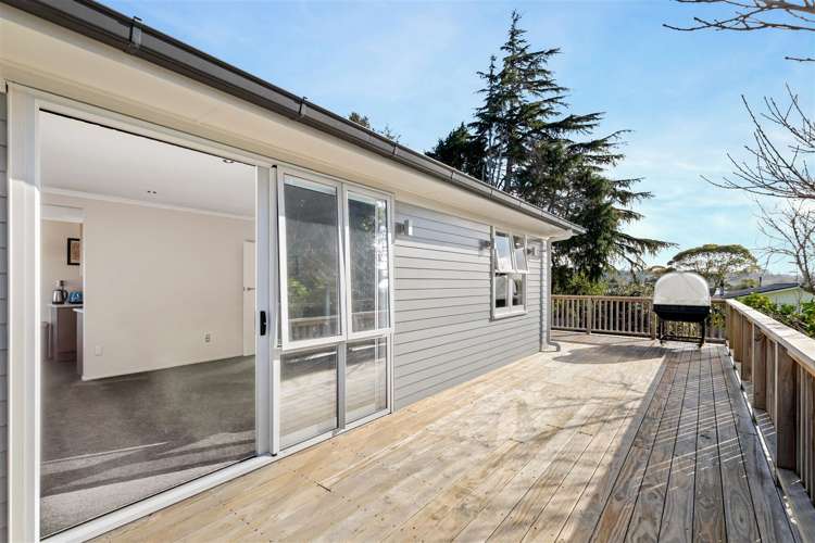36 Mildmay Road Henderson_12