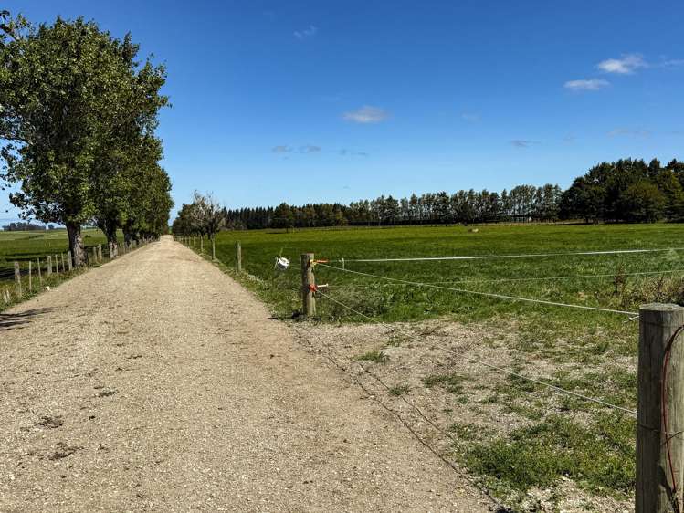 251 Rakahouka Hedgehope Road Mabel Bush_13