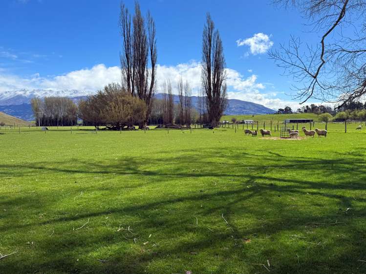 2907 Tarras Cromwell Road Tarras_10