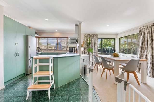 10 Watervista Place Māngere Bridge_1