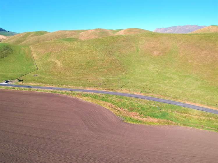 1455 Middle Road Poukawa_5