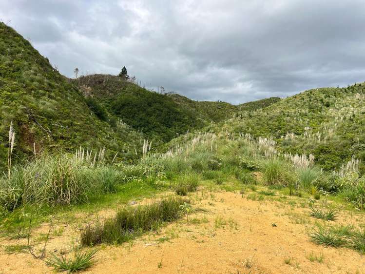 Lot 23 Waiotehue Road Herekino_13