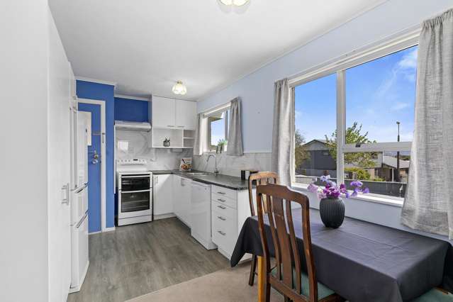 24A Roband Crescent Brown Owl_4