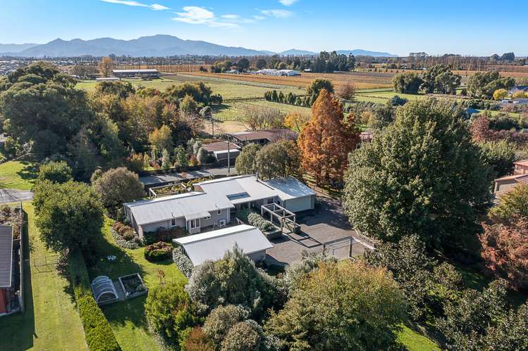 196 Oakwood Lane Witherlea_38