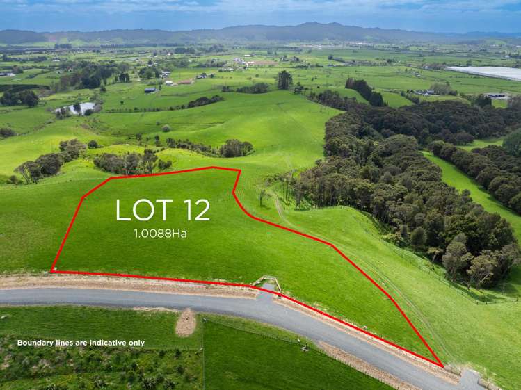 36 Munros Road Clevedon_12