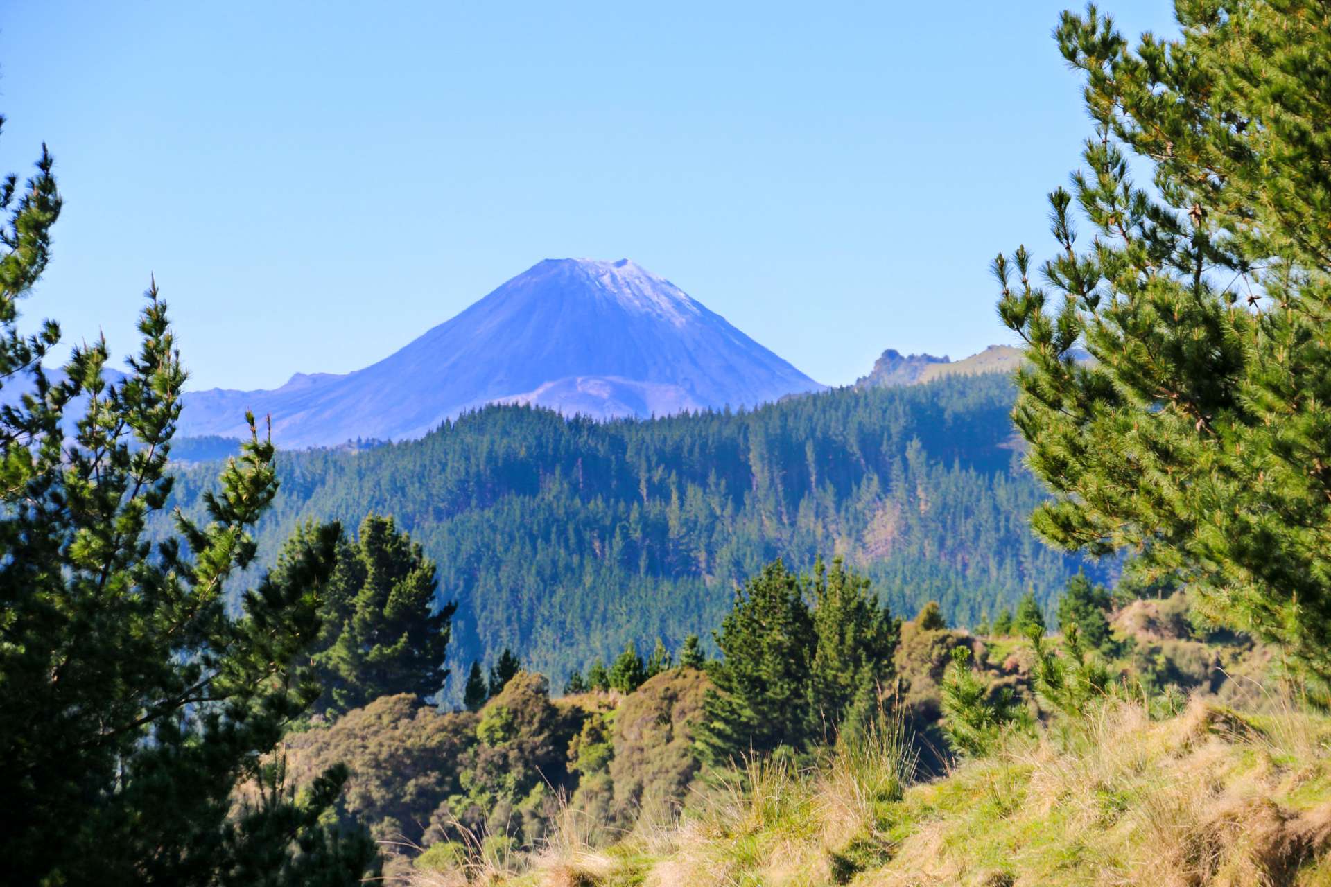 Mangahoe Road Kaitieke_0