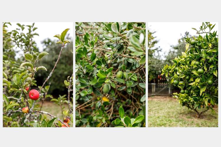 3 Weld Street Kawerau_23