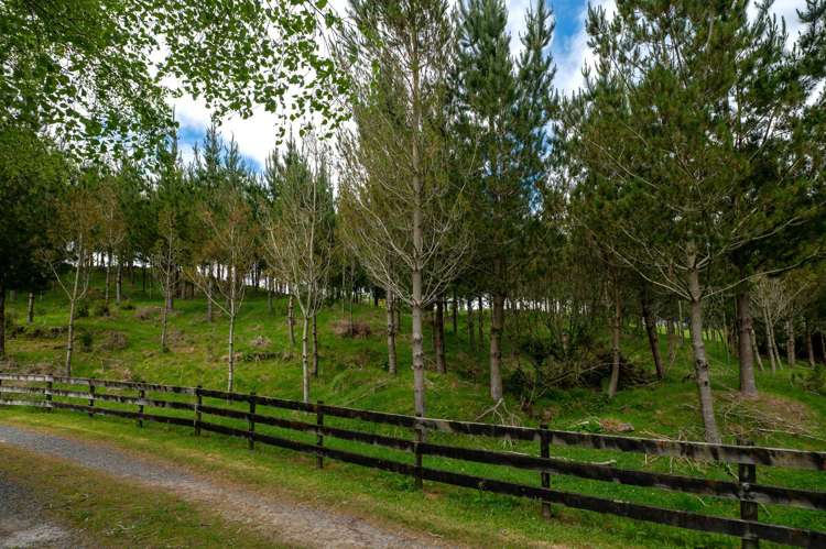 49C Olds Road Ngongotaha Valley_31