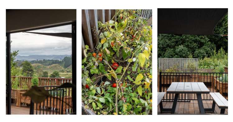 55 Coopers Road Gate Pa_8