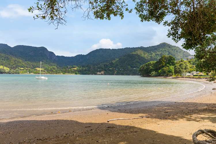 49 Foster Avenue Huia_17