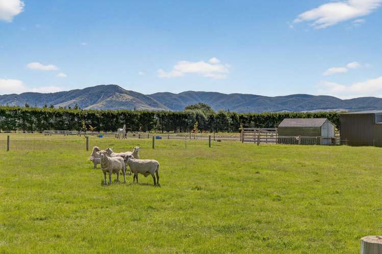 449 Ashley Road Cust_24