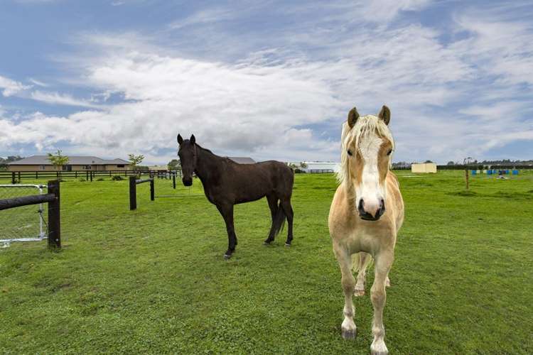 59 Clear View Lane Swannanoa_18