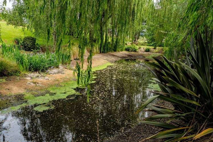 78 Lees Pakaraka Road Masterton_26