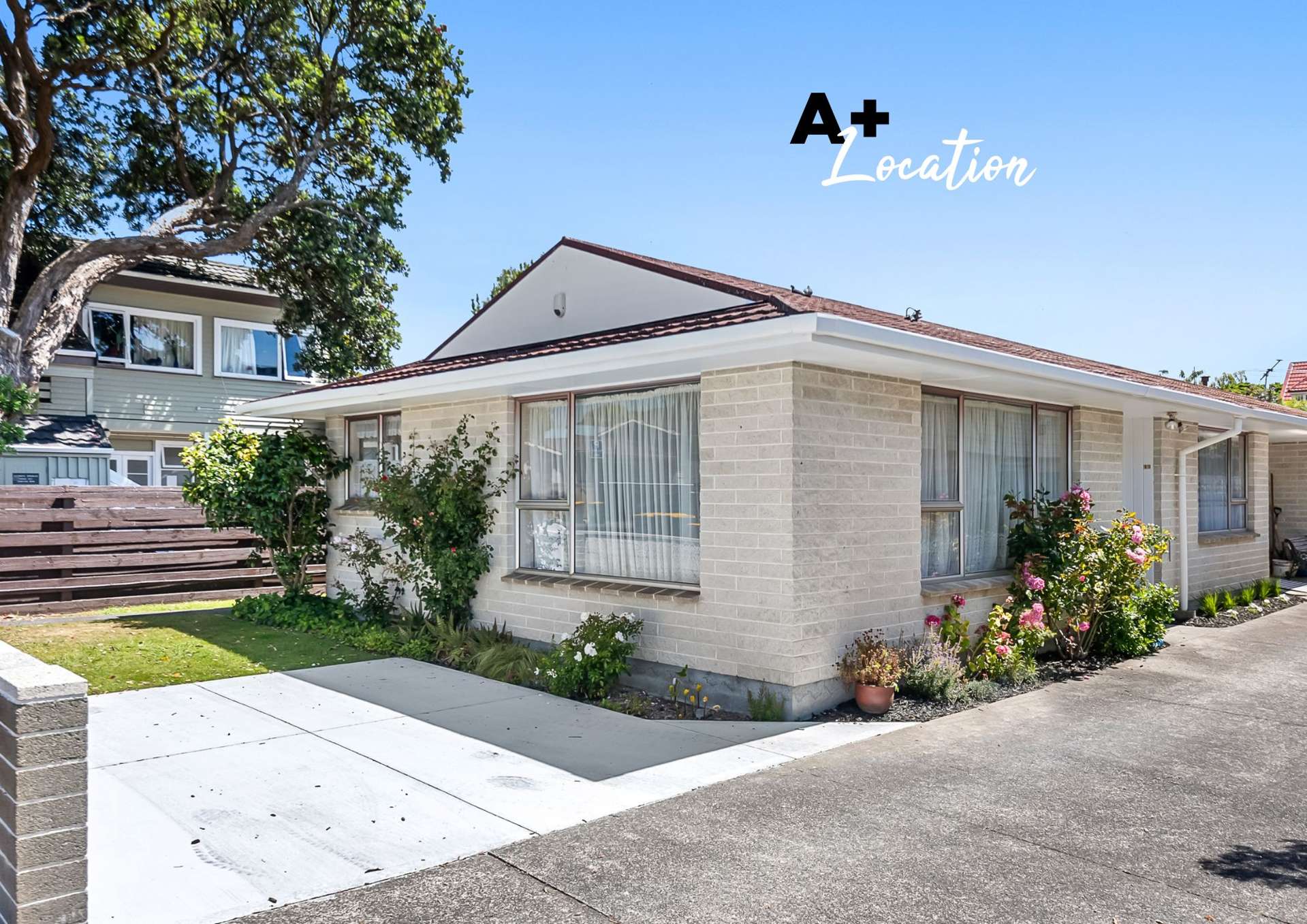 19 Bloomfield Terrace Lower Hutt Central_0