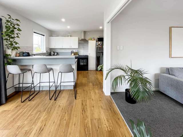 15 Niagara Street Wainoni_4