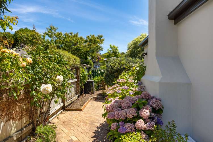 372 Trafalgar Square Nelson City_25