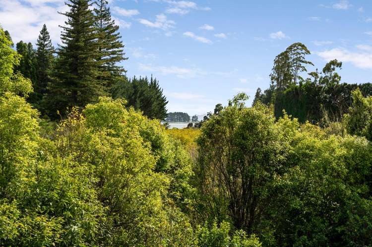 169 Tuapiro Road Katikati_19