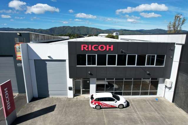 Modern High‑Stud Petone Opportunity