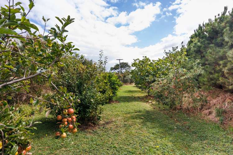 268 Hendersons Line Kelvin Grove_25