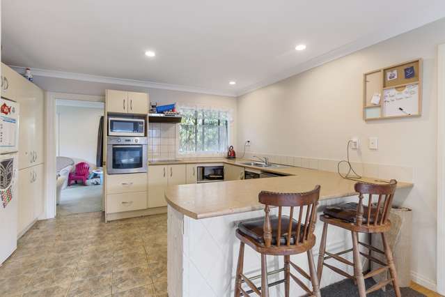 12 Quattro Avenue Flat Bush_3