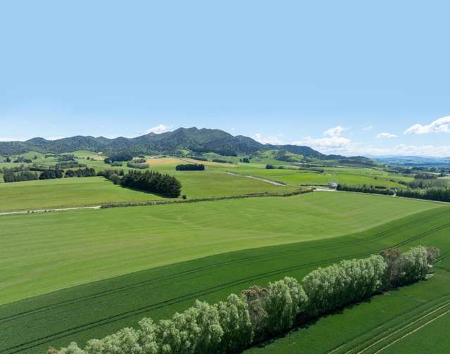 205 Reaby Road Gore_4