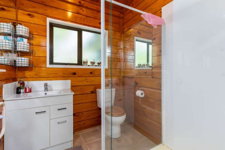 97 Young Access Dairy Flat_18