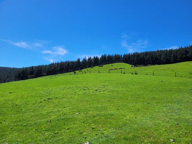 Waihola Highway Waihola_3