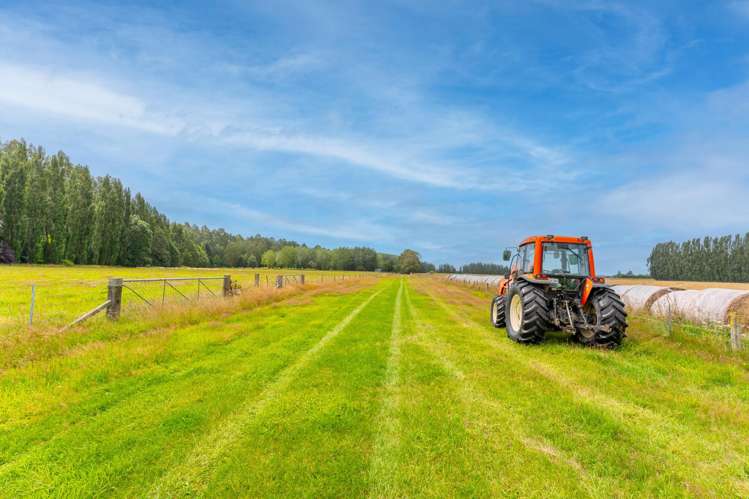 79 Halstead Road Pleasant Point_23