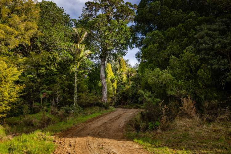 Lot 2/2262 Waiare Road Kaeo_22