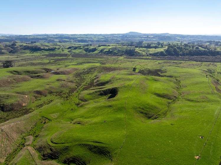 485 Chapman Road Pukekawa_30