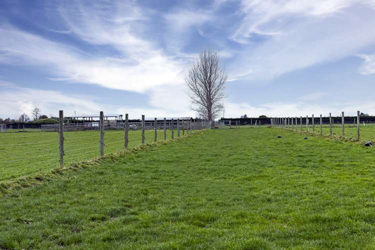 227 Foley Road Kerrytown_6