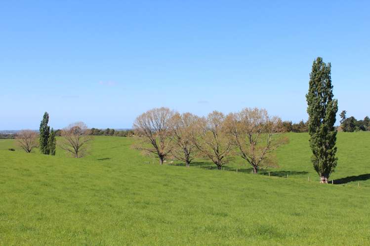 49 McCully Road Temuka_5