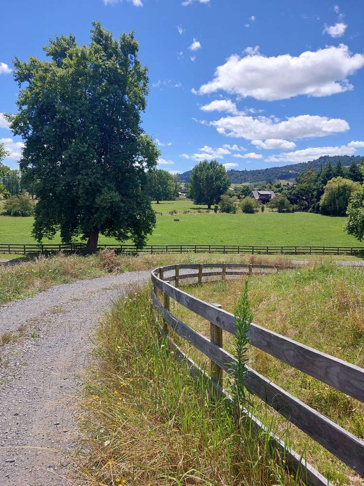 3/103 Maungakawa Road Cambridge_11