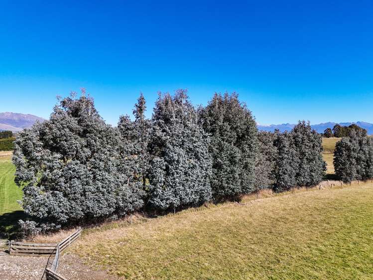 376 Whitestone Road Te Anau & Surrounds_17