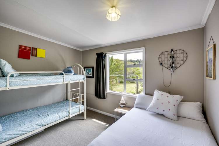 260 Whirinaki Road Eskdale_17