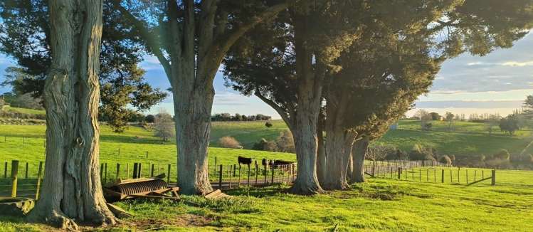 418 Parklands Road_4