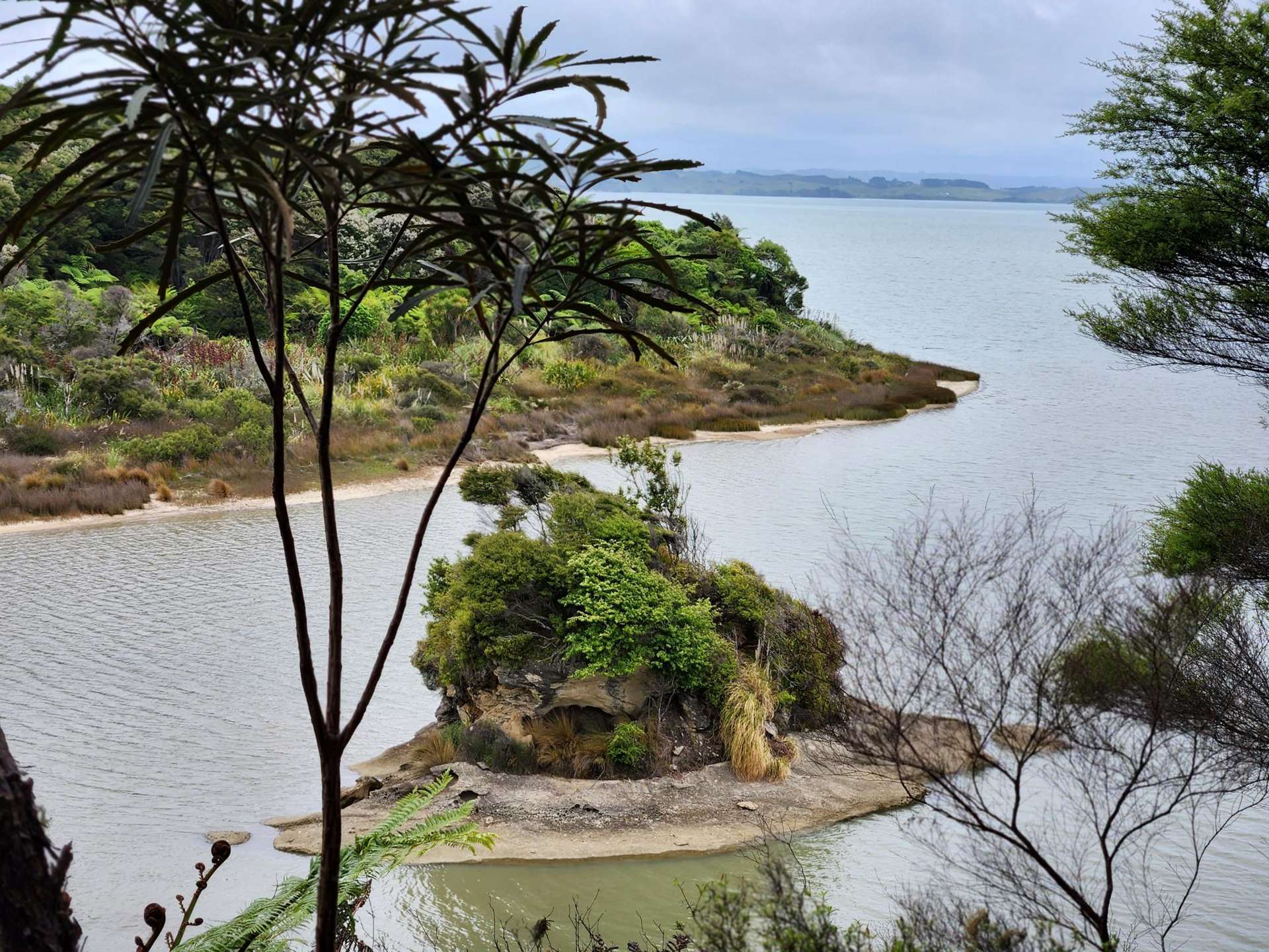 Te Papatapu Road Raglan_0