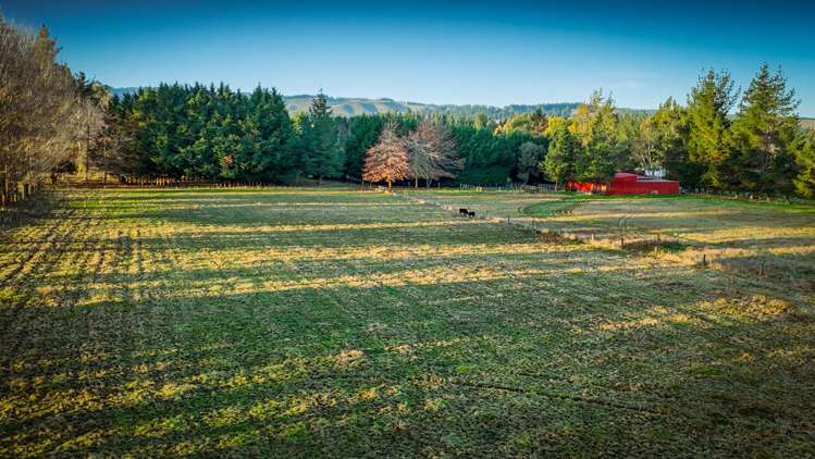 99 Loburn Terrace Road Loburn_32