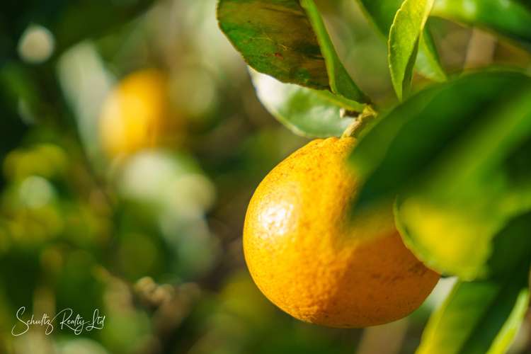 1181 State Highway 12 Maungaturoto_36