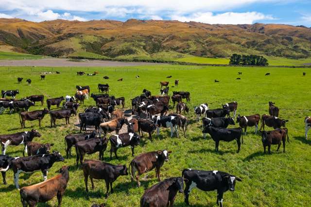 7797 Hyde-middlemarch Road Rock And Pillar_3