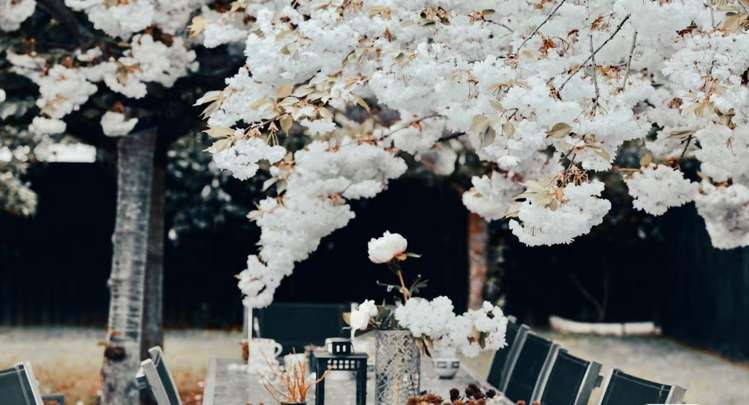 24 Date Crescent Aidanfield_30