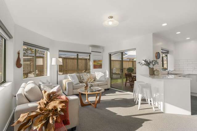 185A Mount Albert Road Sandringham_3