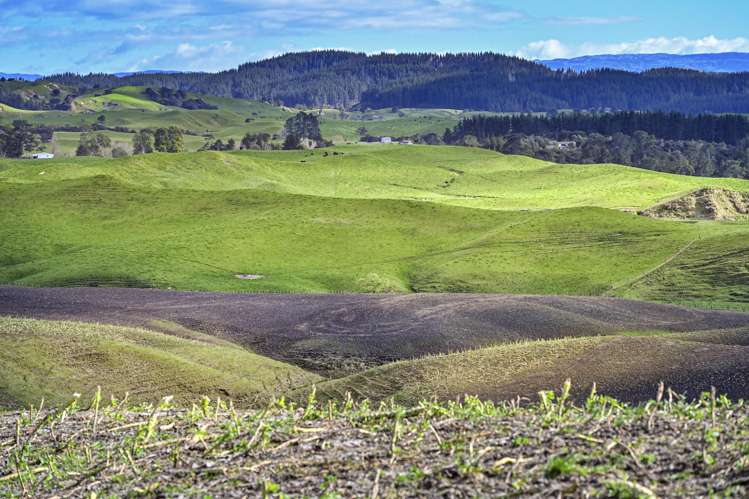 2152 Puketitiri Road Central Hawkes Bay Coastal_8