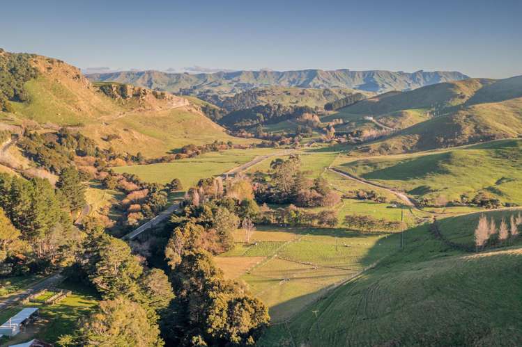 1437 Ormondville Te Uri Road Rangitikei Surrounds_25