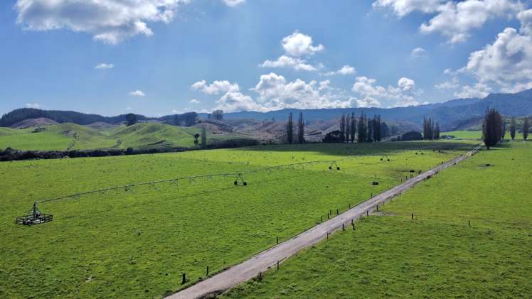 3931 Galatea Road Murupara Surrounds_15