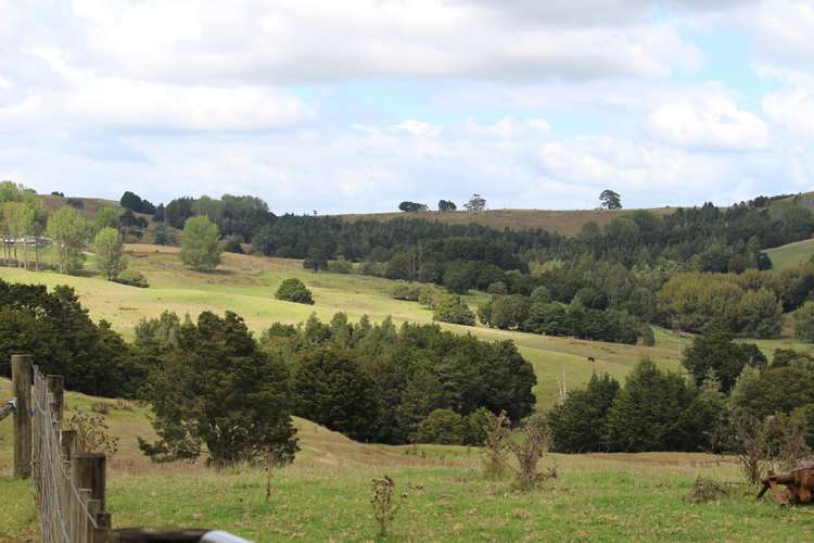 Aponga Road Ruatangata_6