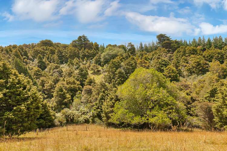 259a Taraunui Road Parua Bay_1